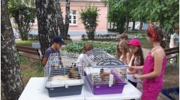 Пространство релакса