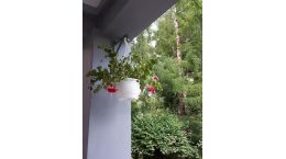 Пространство релакса